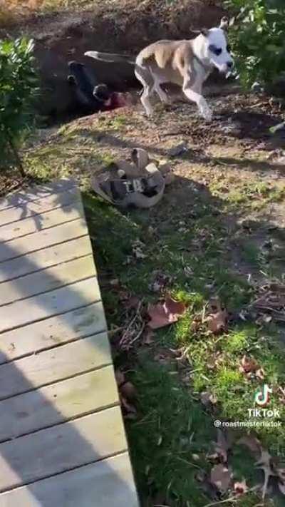 Dumbass kid tries jumping over dirty water, gets intercepted by dog