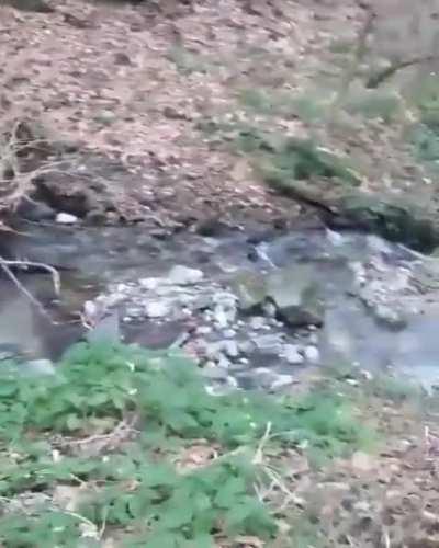 ех Ангеле Ангеле