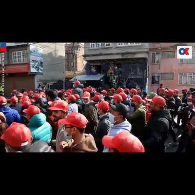 Bheda ka naya prajati bazar ma sarwatra.