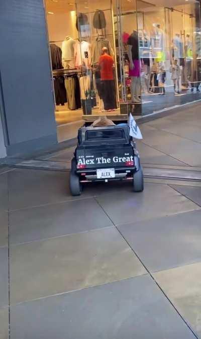 The main character has arrive!!