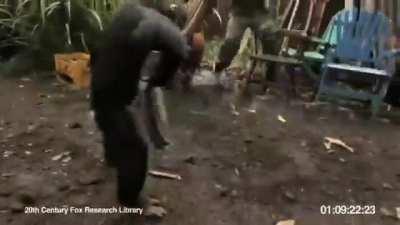 rise of the planet of apes