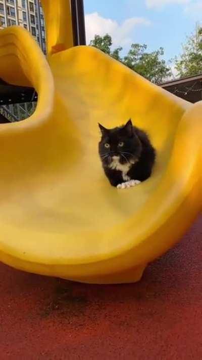 If you’re having a bad day. Sending wholesome vibes <3