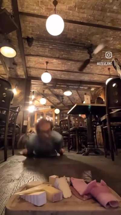 What the hell did I just watch…