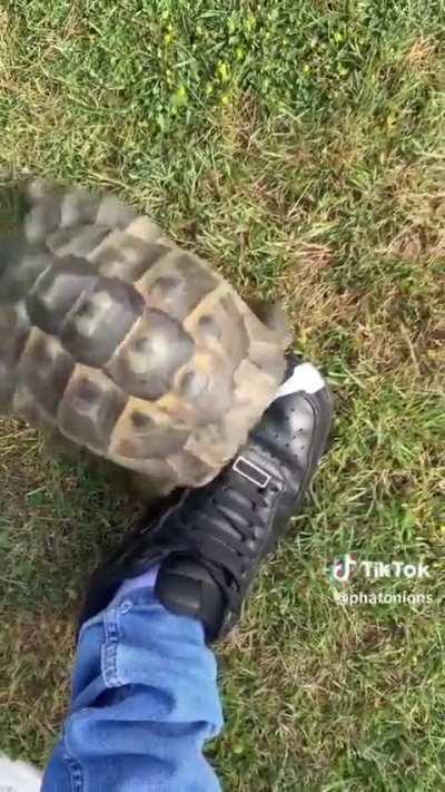 What's your excuse baj?