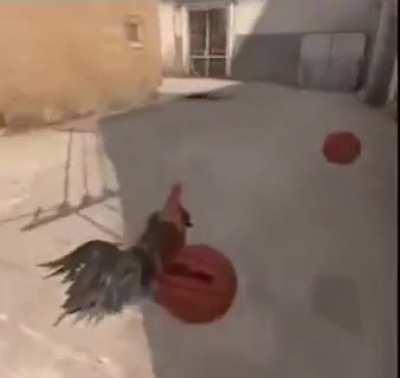 Where does he rank all time?