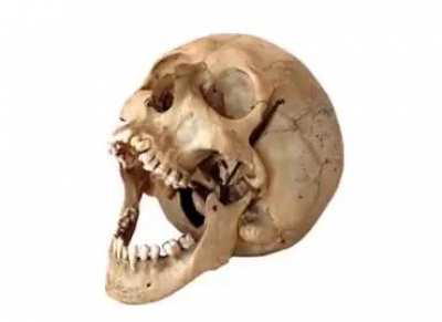 I might be quitting this (not the sub) video related to sanity