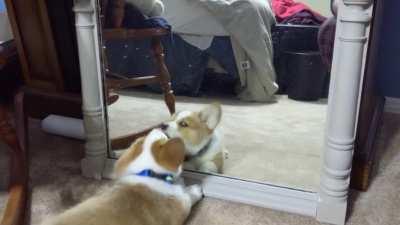 Why won't he play with me???