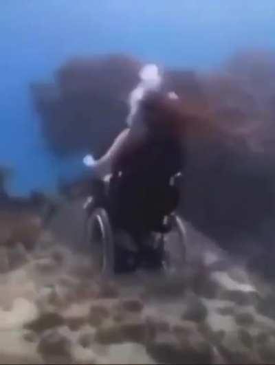 Dory chasing Marlin thinking it's Nemo