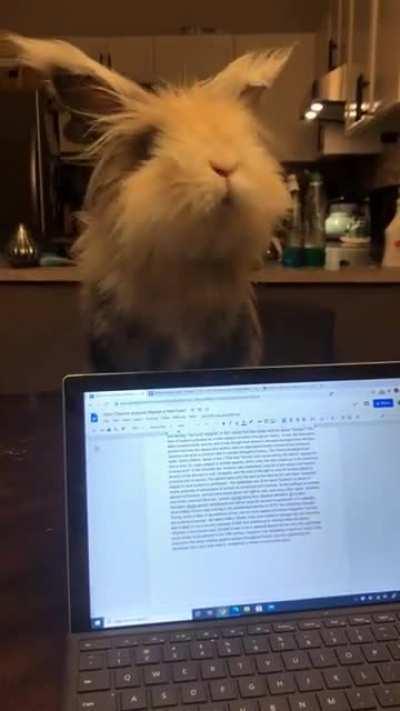 Very distracting classmate