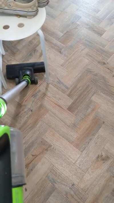 Found this one hoovering the hallway