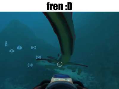 he isn’t very smart