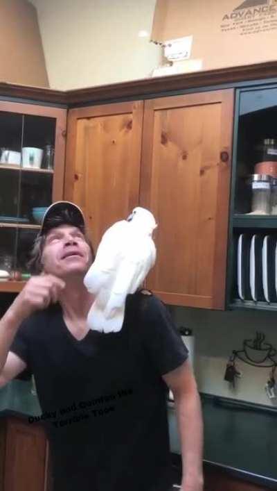 Playtime with a Feather