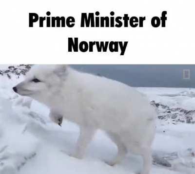 Nonsensical joke rule