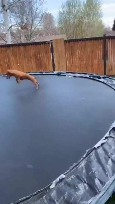 Favorite Outdoor Activity