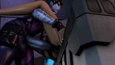 Tracer Widowmaker Mercy and Dva ( Nyl )[ overwatch ]