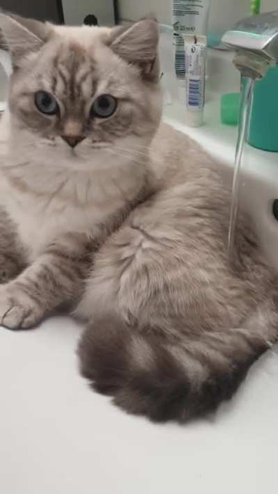 I like fresh water and taking shower at the same time