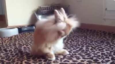 Nickname is Gandalf the Grey