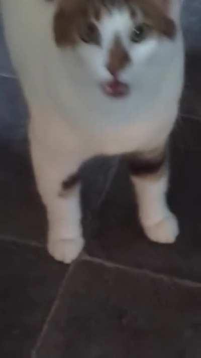 It only takes one word to set him off