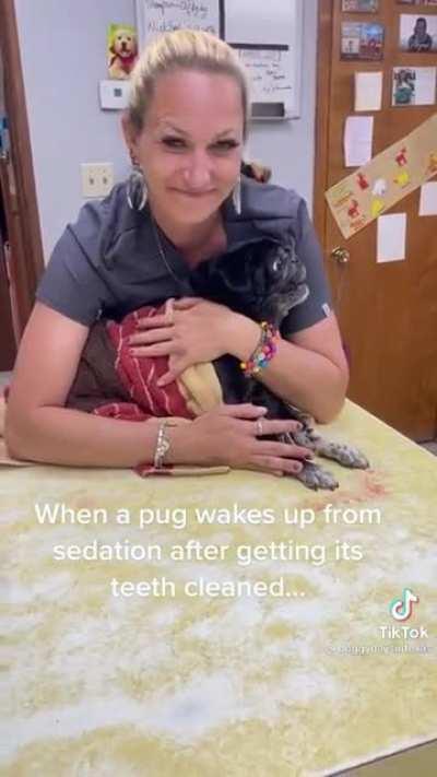 The song of his people.