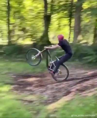 An insane backflip landing