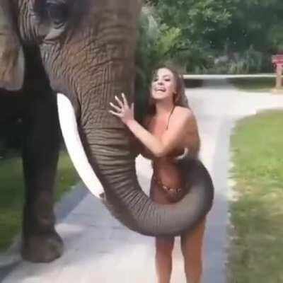 Слон и Сиська