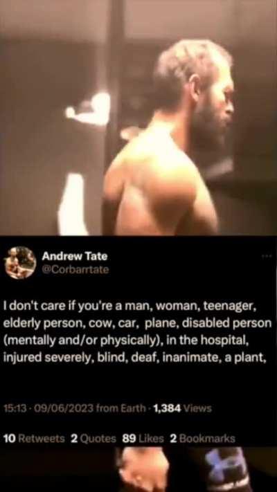 artificially moldy tate