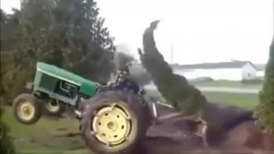 When removing a tree