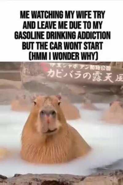 I am not sure why I had this in my downloads folder