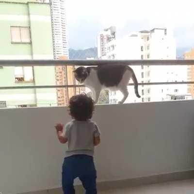 Кот сторож/защитник