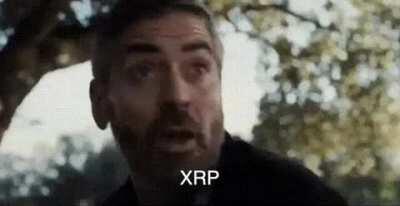 XRP this run