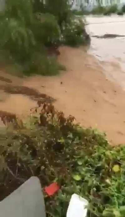Hurricane Eta floods in Honduras