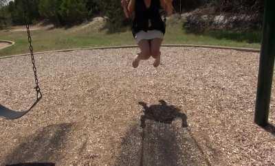 No panties swinging in public playground (Genevieve Sweets) [GIF]