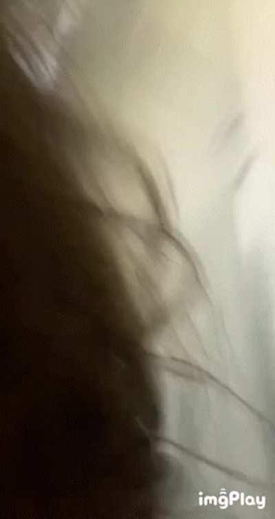 Rise n' shine! ☀️