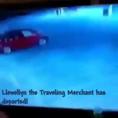 What the fuck going on in Terraria bruh?