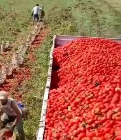 What is this sorcery?