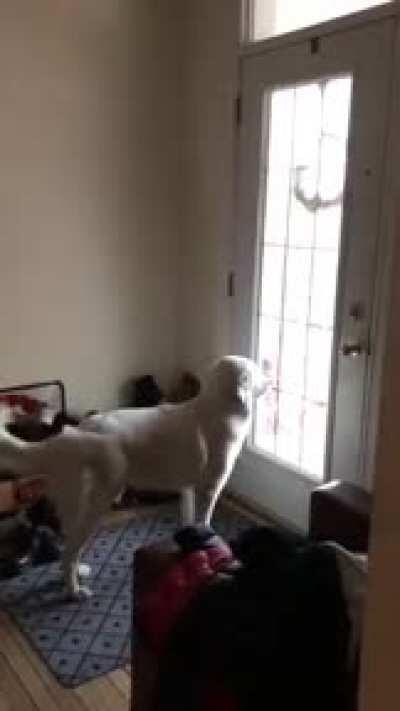 Waiting for kids to come home from school