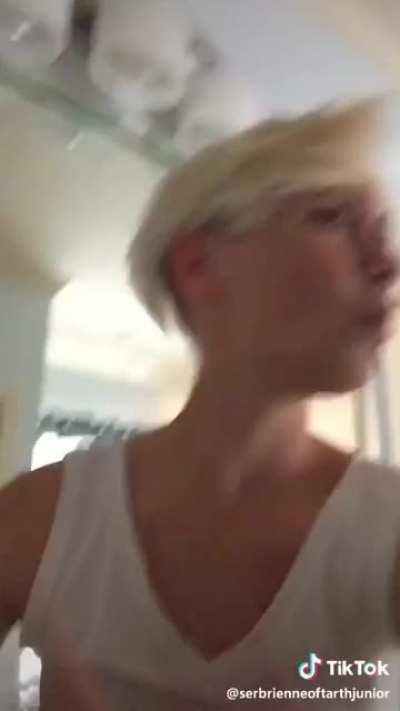 my new favorite tiktok