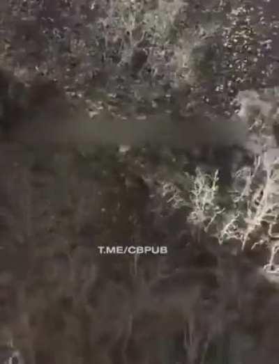 Прыжок к дантисту