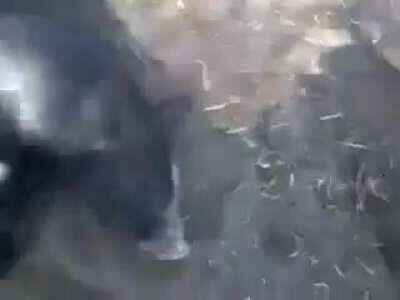 Rodolfo 😭😭😭