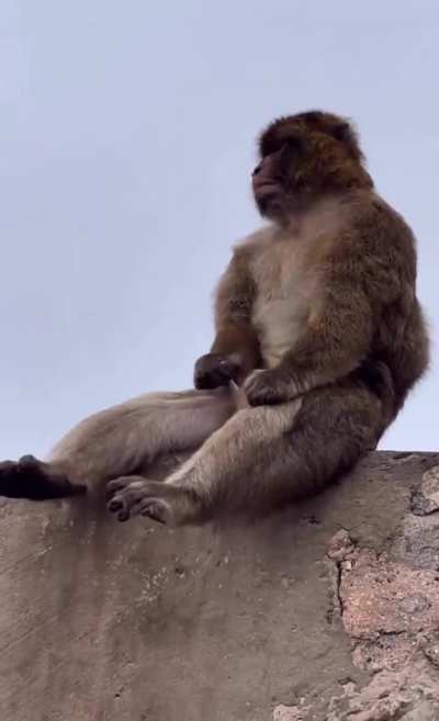 Elm cuando dice que no hace stream porque está enfermo... xdddd