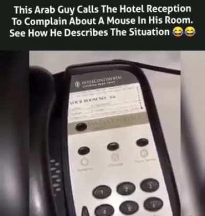 Gotta listen to this shit😂