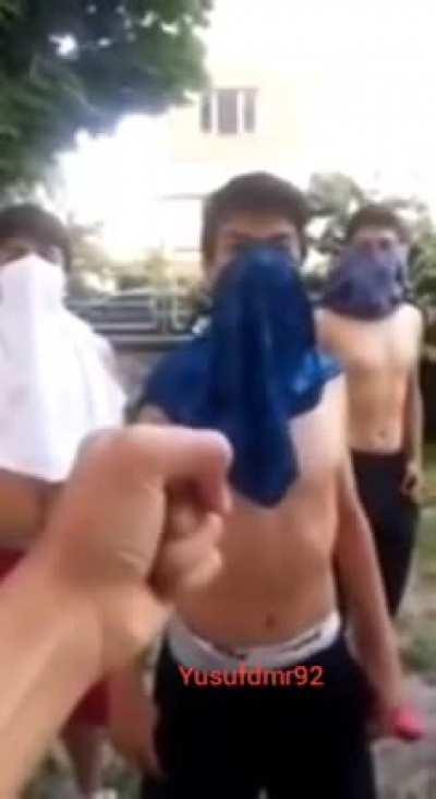 Agalarla kavgada mitoz bölünen kürtleri canlandırdık