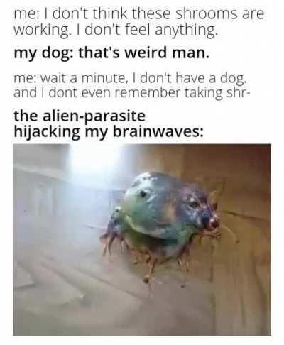 Its taking over my brain