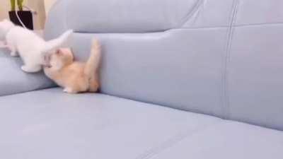 Not my smols but I'm on my way to kidnap them :>