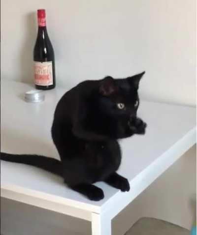 Kitty air massages. Nothing wrong here...