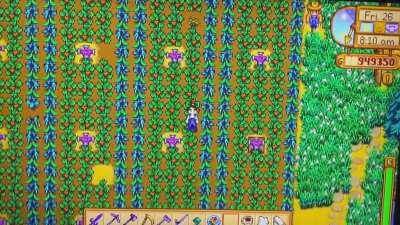 My current farm! 💜 It's kind of a silly tour ☺️