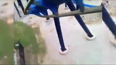 A truer friendship never seen before