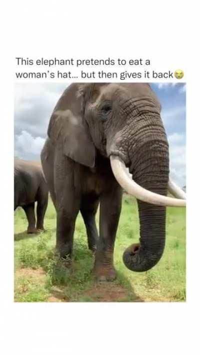 I think I saw David Blaine do this with frogs