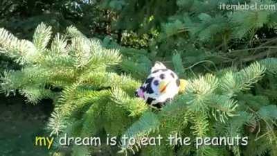 Why do I get an ad for this thing when I'm about to sleep?