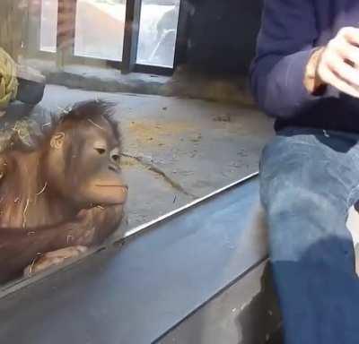 we all need a friend like this in our life.